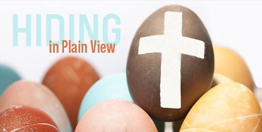 Hiding in Plain View