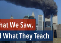 What We Saw, and What They Teach